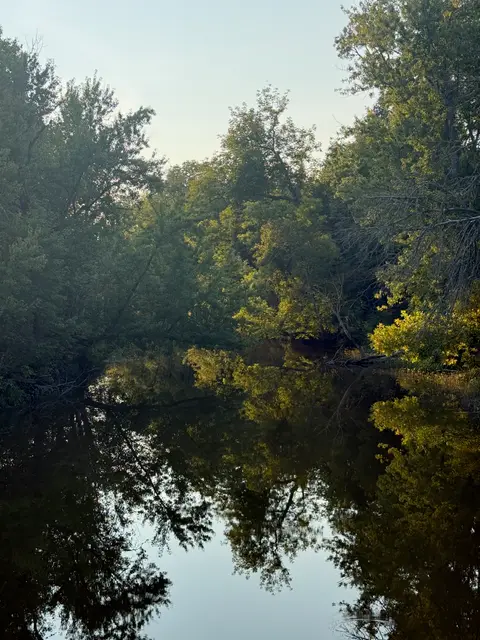 Autumn trees mirrored in a calm creek