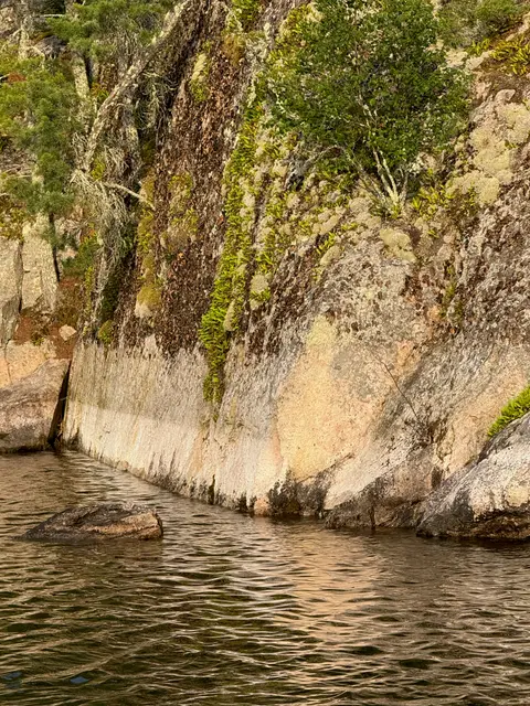 Lichen streaked cliff face rising from the water