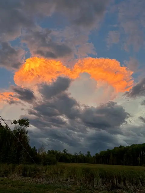 Fiery orange sunset clouds over a dark treeline