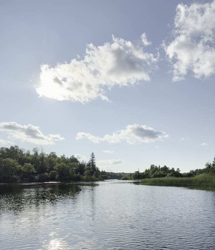Wide sky and clouds over the lake treeline
