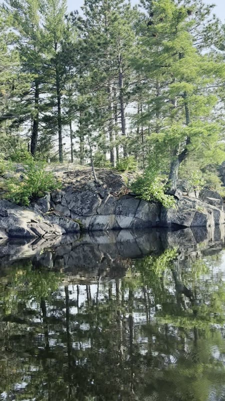Rocky pine shoreline reflected in still water