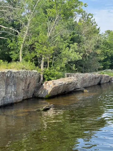 Tilted rock ledge along a wooded shoreline on Lake Kabetogama