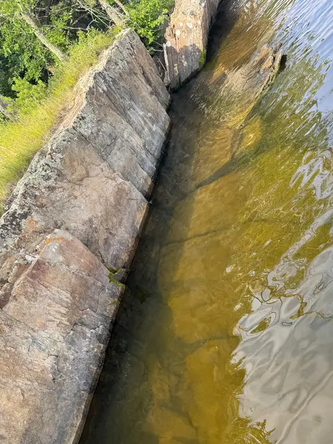 Tilted rock strata plunging into tannin-stained water