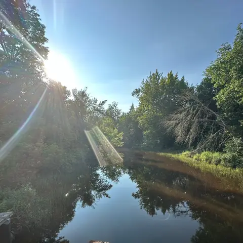 Calm waterway with sun reflecting through trees